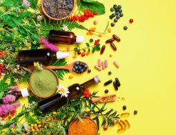 Alternative medicine. Holistic approach. Healing herbs and flowers over yellow background. Top view, copy space, flat lay. Banner